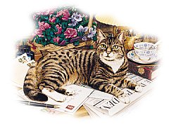 Gatto 8